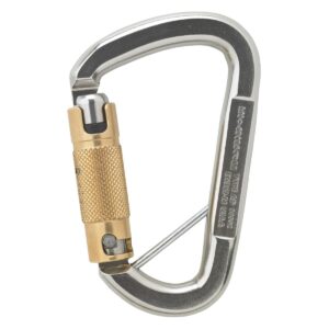 AustriAlpin TN35AK3-IS D-asymmetric Inox carabiner for ropes with 3-way automatic locking + Selfie